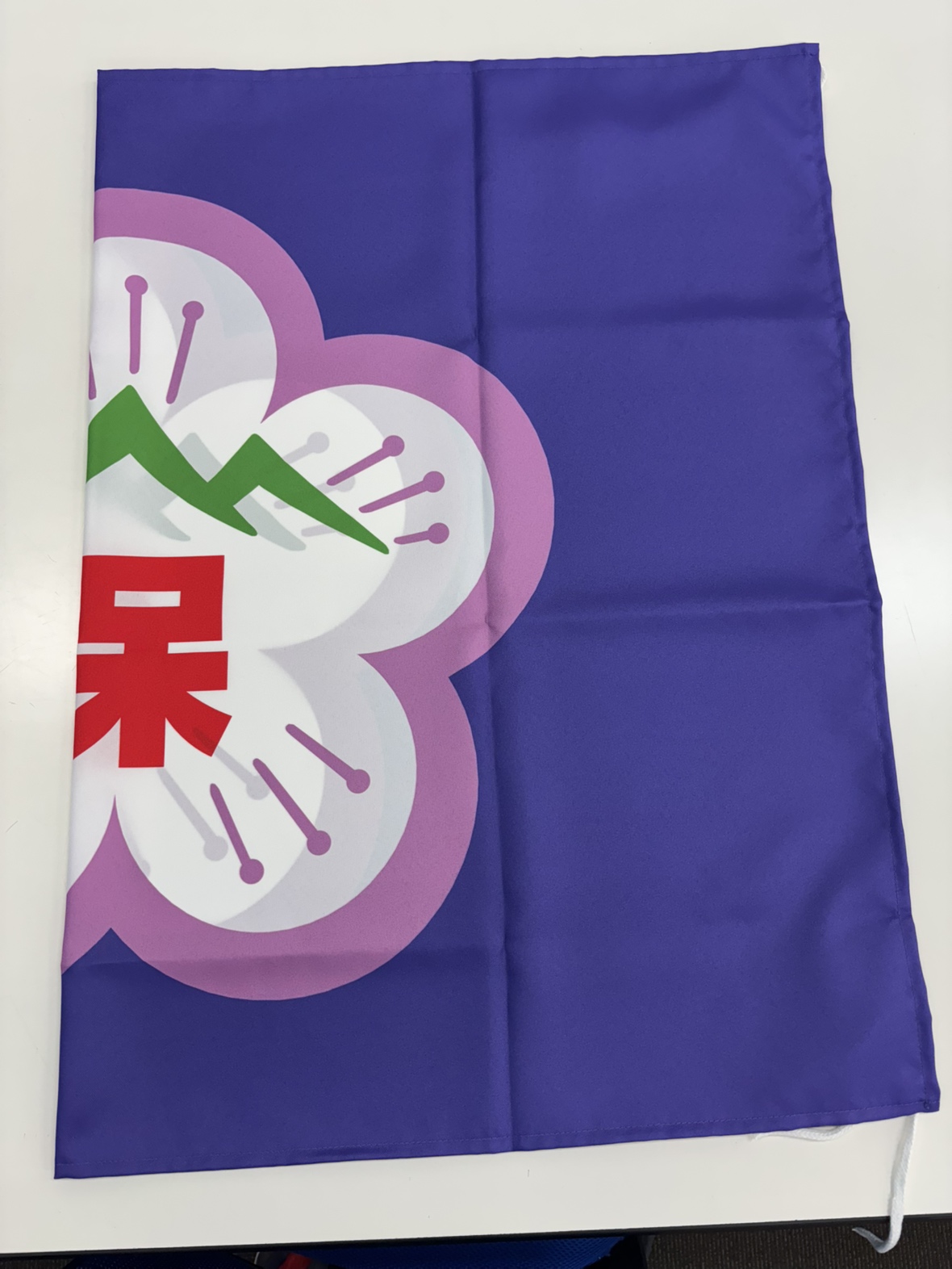 某保育園様（福岡県築上郡）セキュリティシステム更新・Wi-Fi工事・カメラ工事・園旗作成